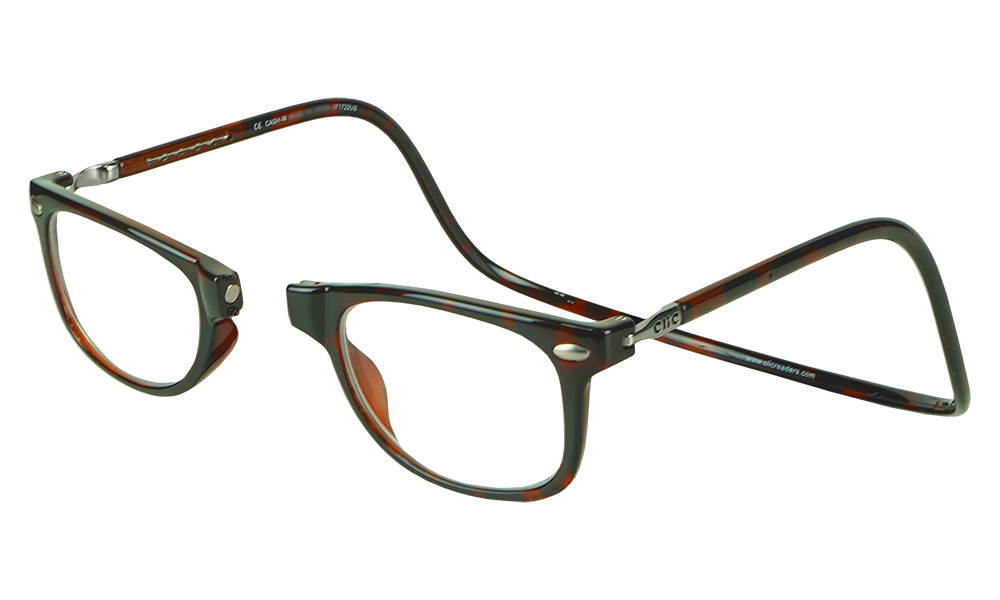 Ashbury_Reader_Tortoise_Side.png