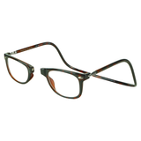 Ashbury Transitional Reader