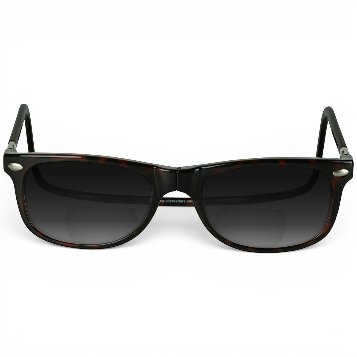 Ashbury Sun Bifocal