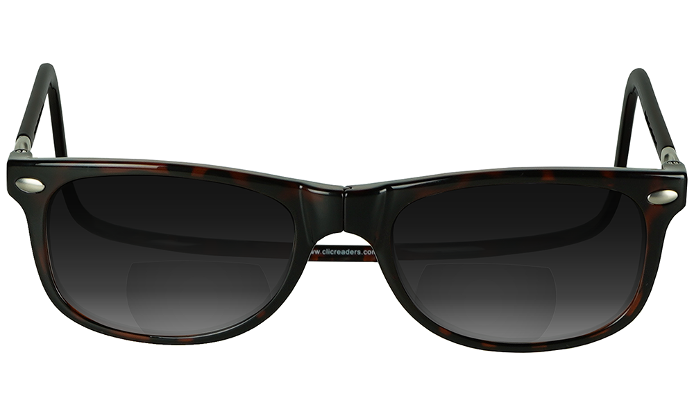 Ashbury Sun Bifocal