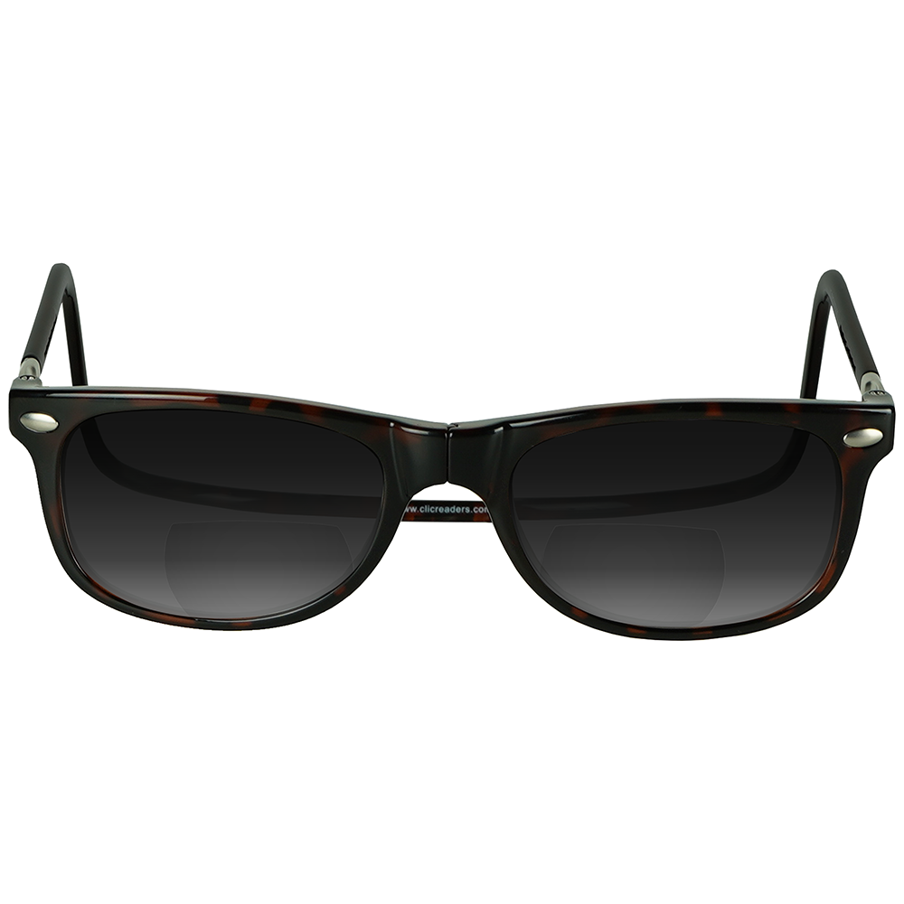 Ashbury Sun Bifocal