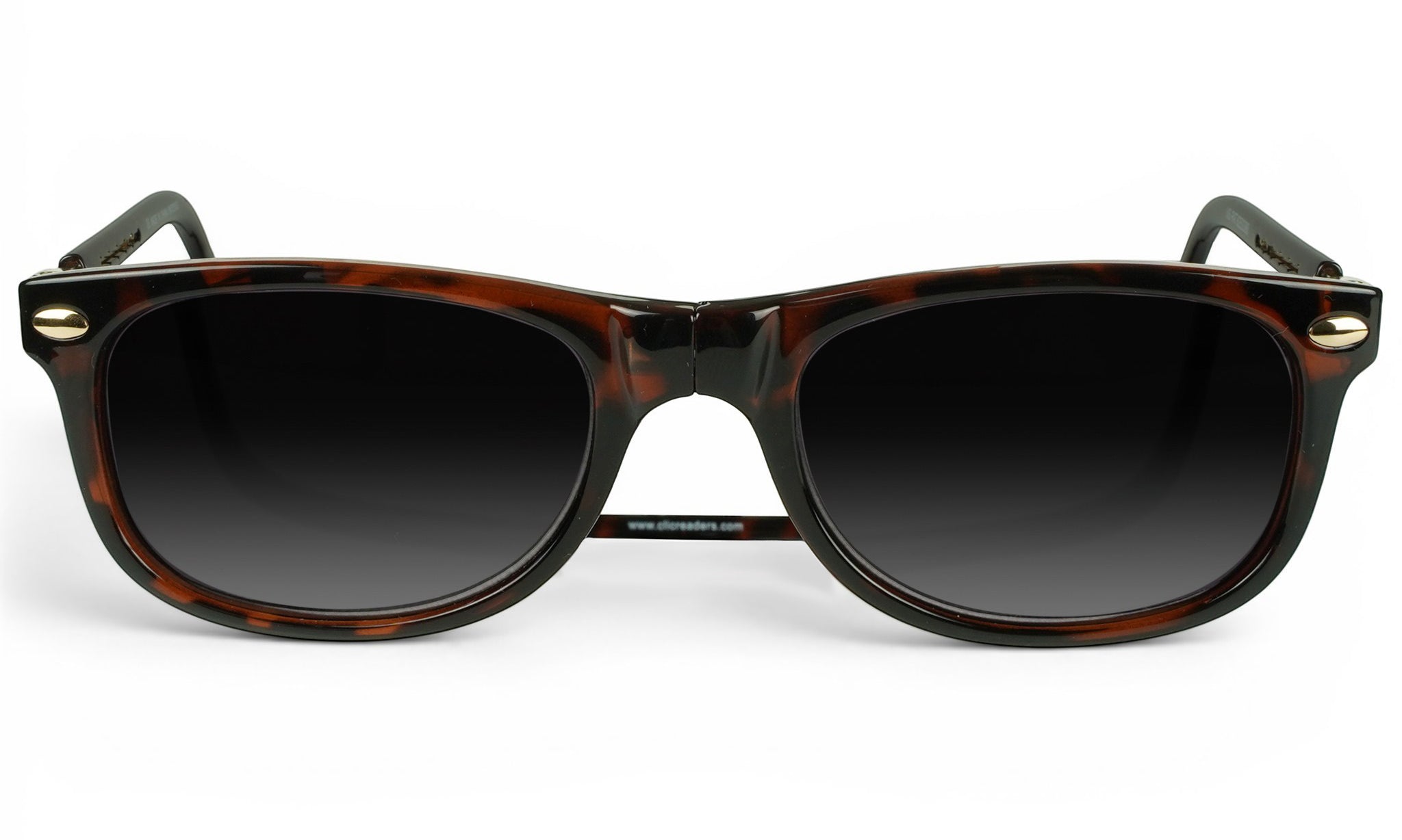 Ashbury Reader Sunglasses