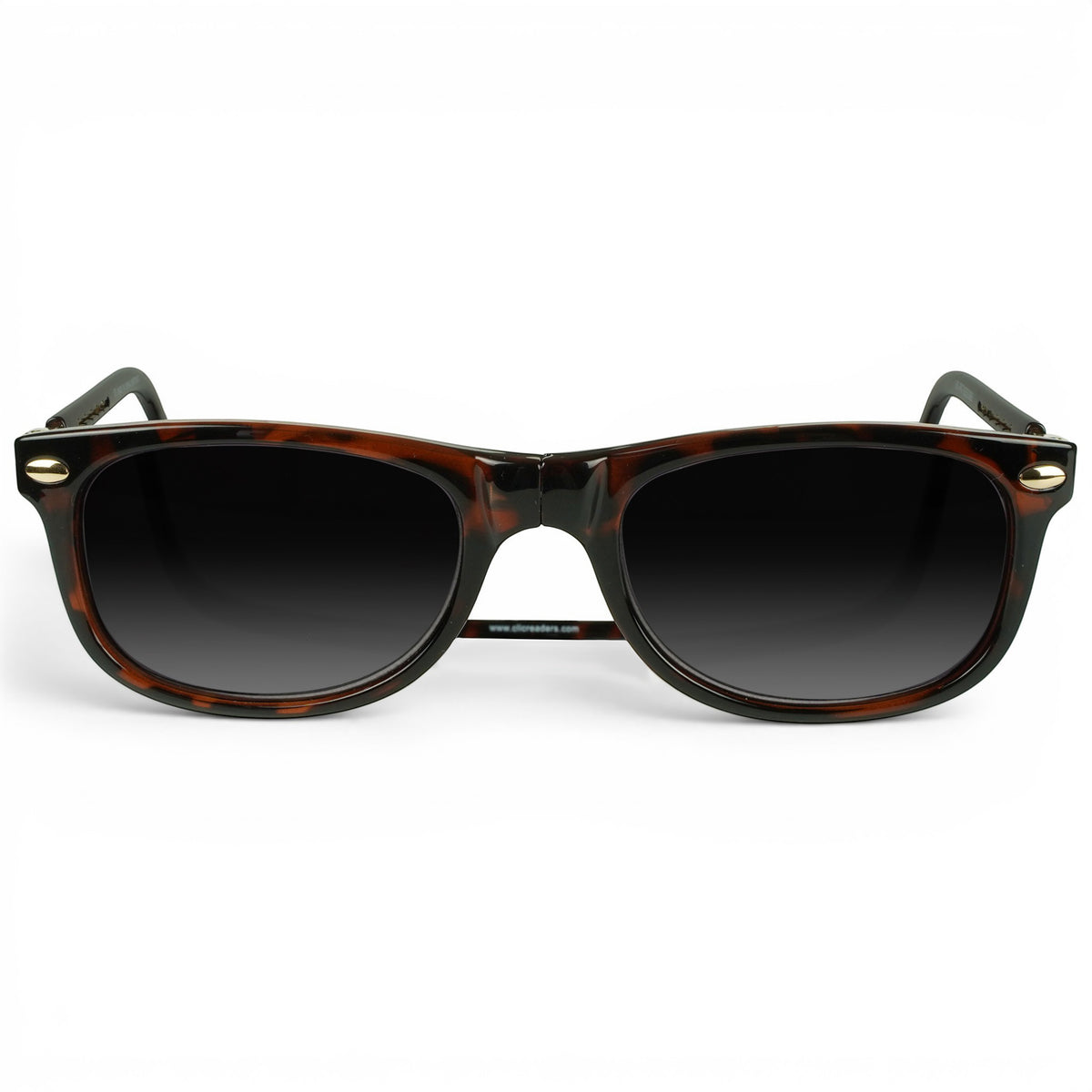 Ashbury Reader Sunglasses