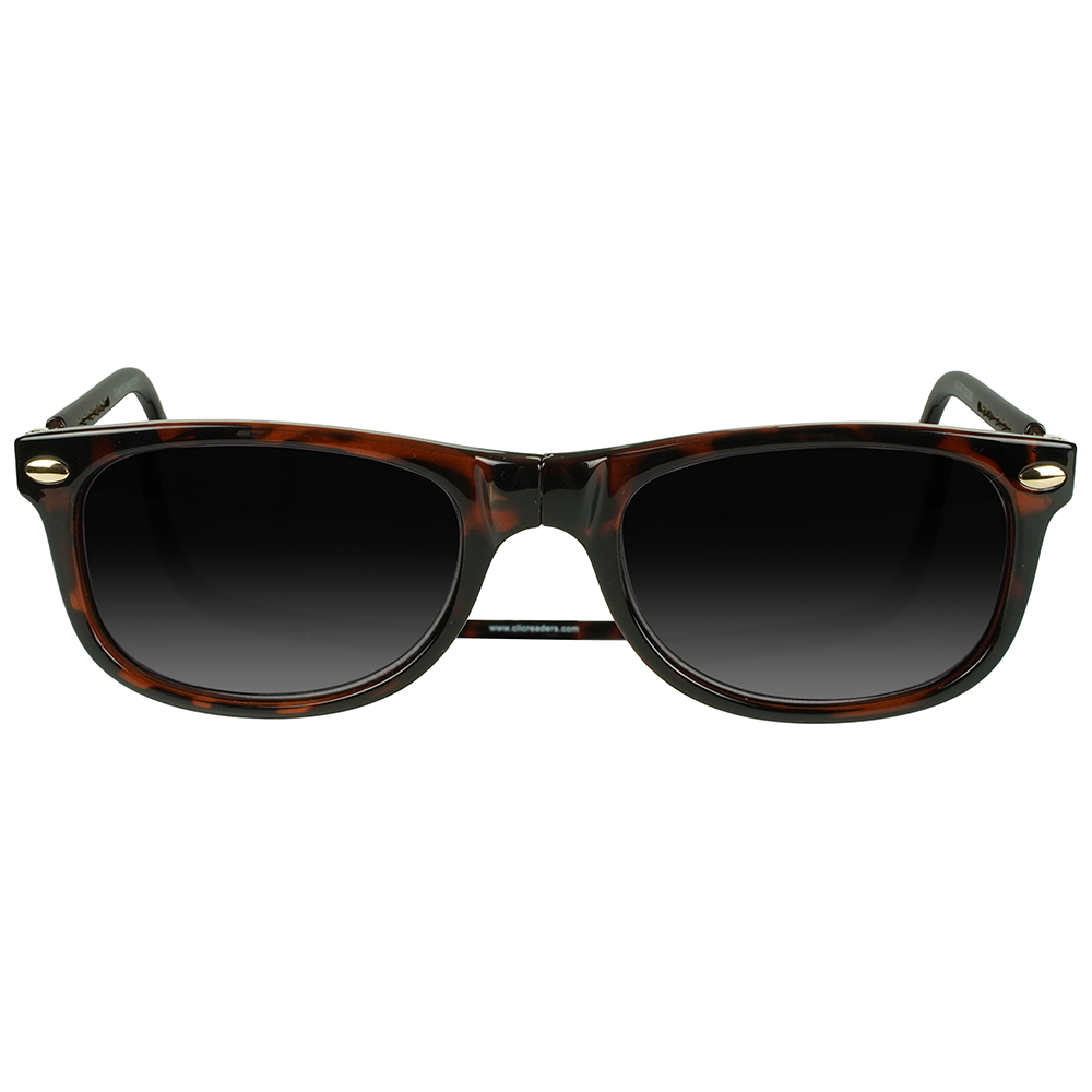Ashbury Reader Sunglasses