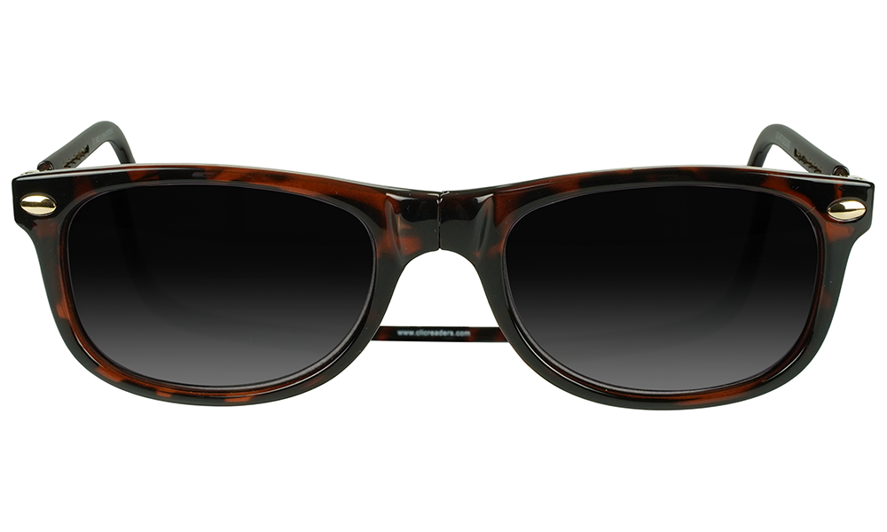 Ashbury Reader Sunglasses