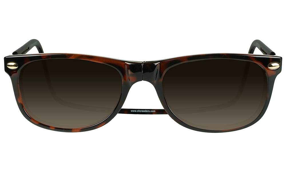 Ashbury_Sunglasses_Tortoise_Front.png