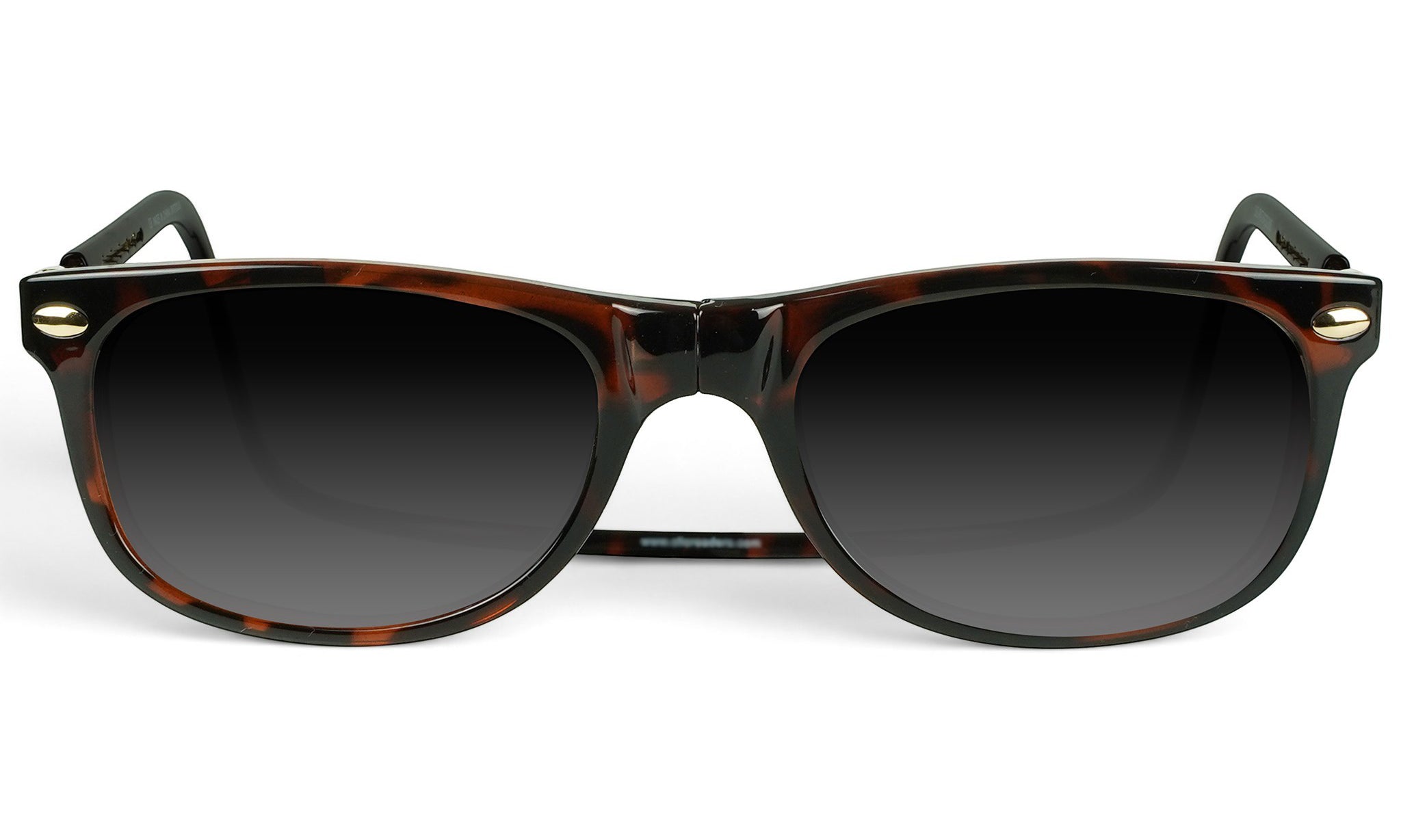 Ashbury Sunglasses