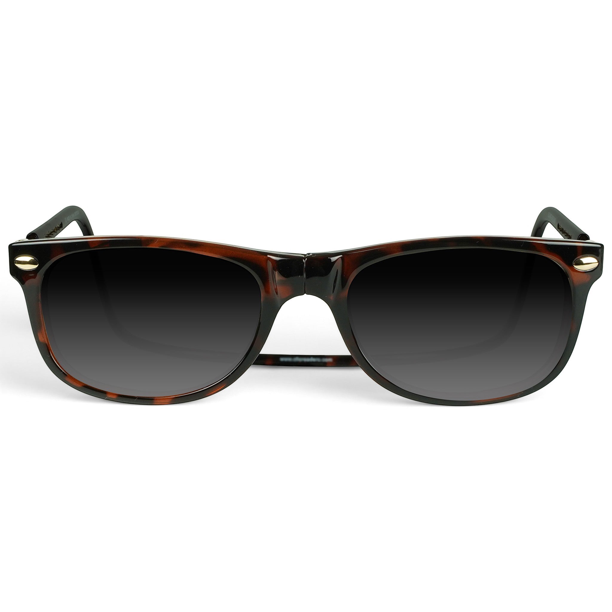Ashbury Sunglasses