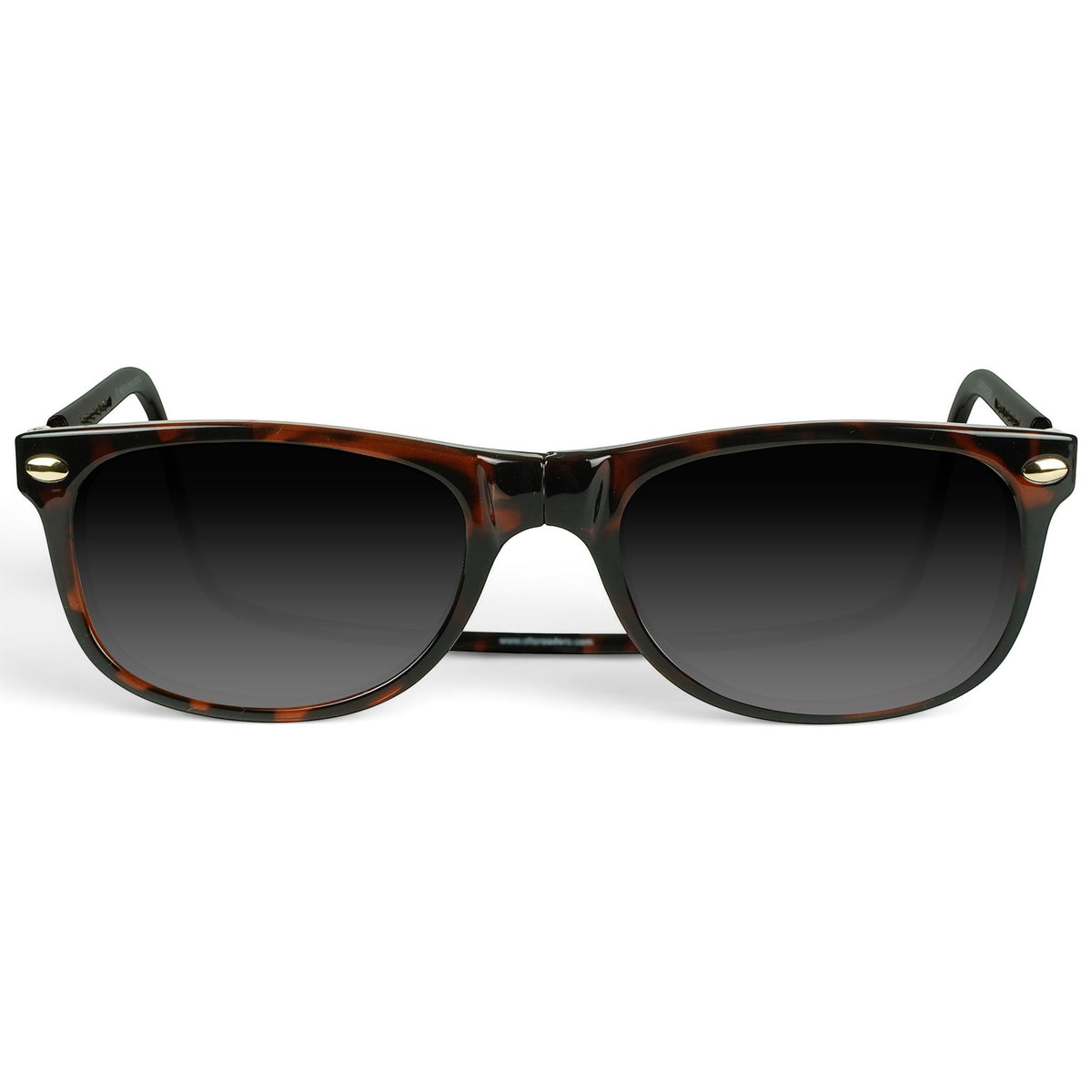Ashbury Sunglasses