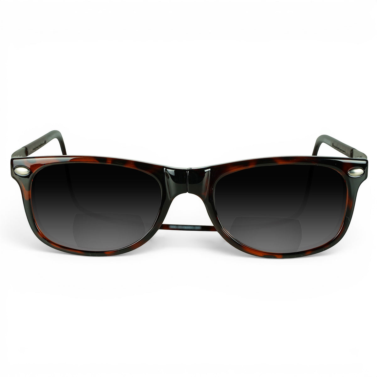 Ashbury XL Sun Bifocal