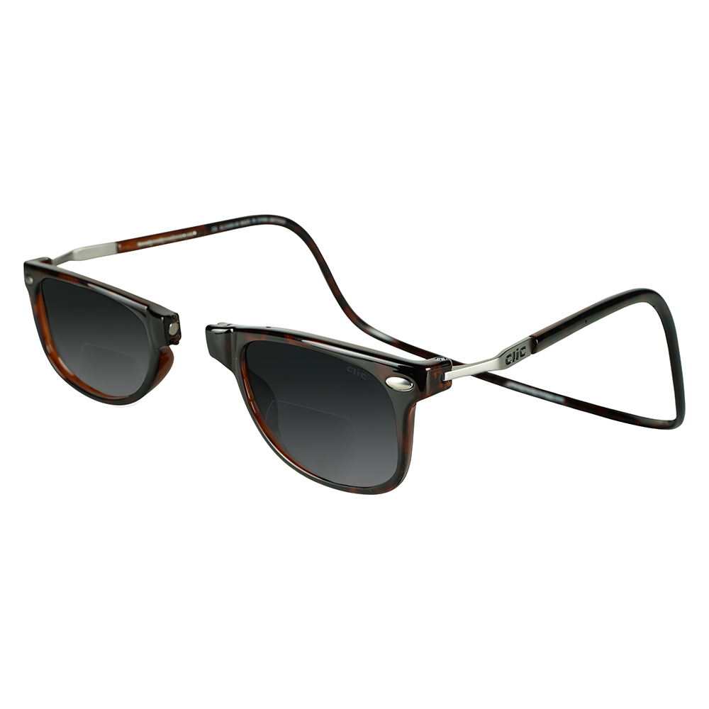 Ashbury XL Sun Bifocal