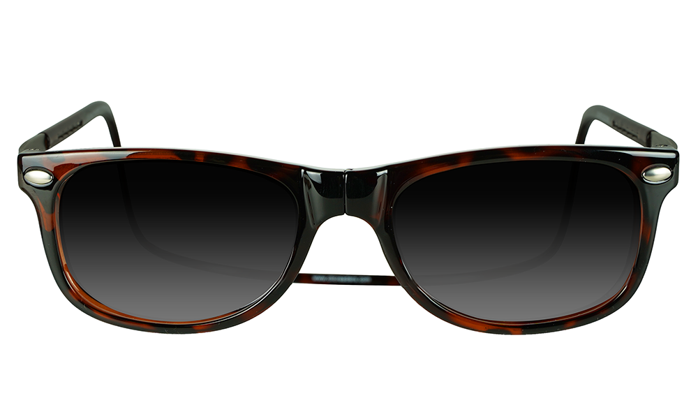 Ashbury XL Reader Sunglasses