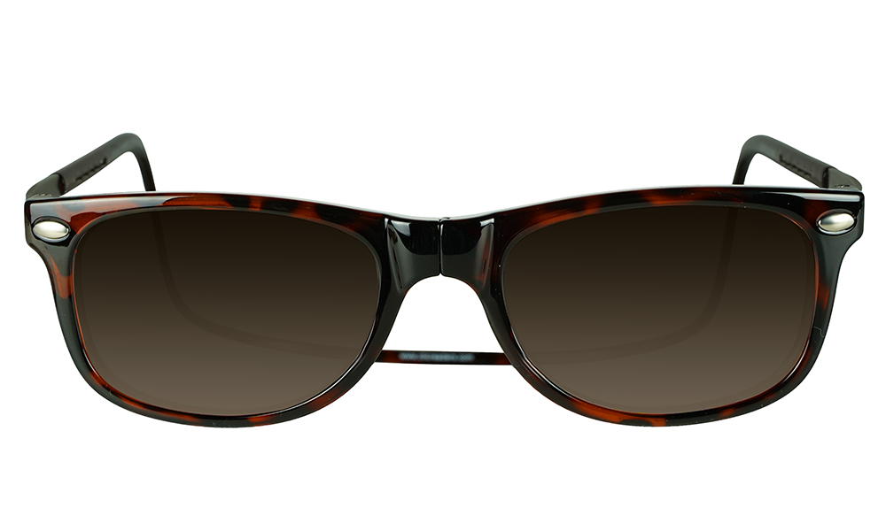 Ashbury_XL_Sunglasses_Tortoise_Brown_Front.png