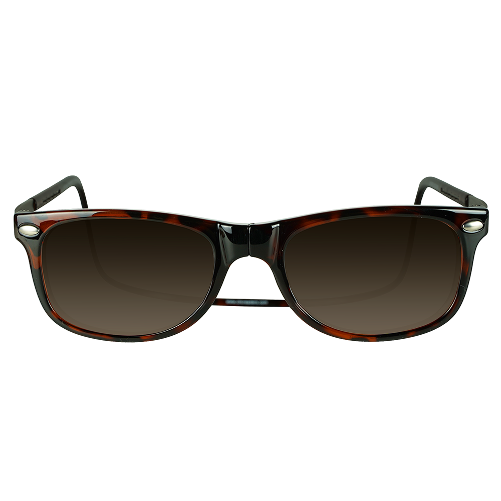 Ashbury XL Sunglasses