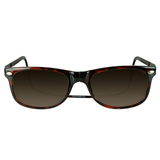 Ashbury XL Sunglasses