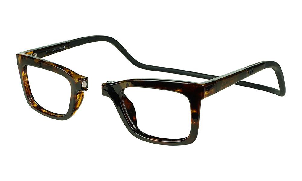 Aurra_Tortoise_Side.png