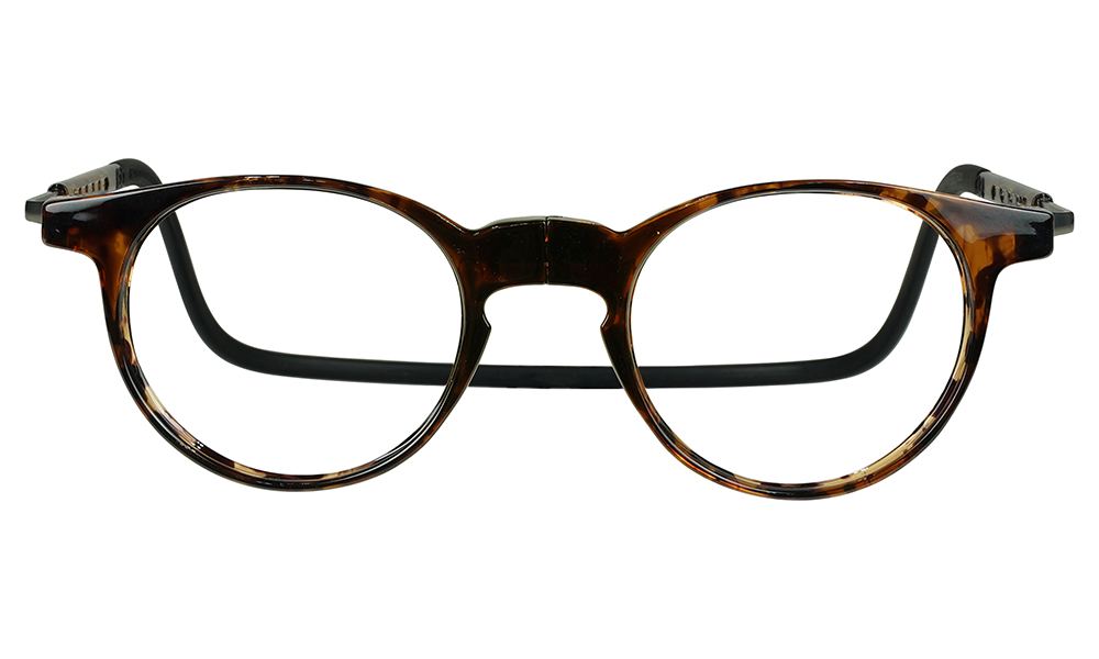 Denga_Tortoise_Front.png