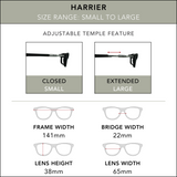 Harrier Sunglasses