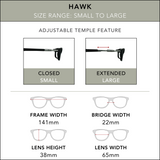 Hawk Sunglasses