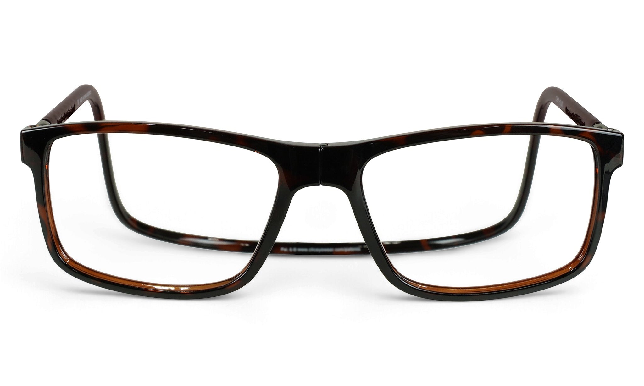 HudsonTortoiseFront_74a22bbf-04a5-4078-a22f-f9d653cc9e25.jpg
