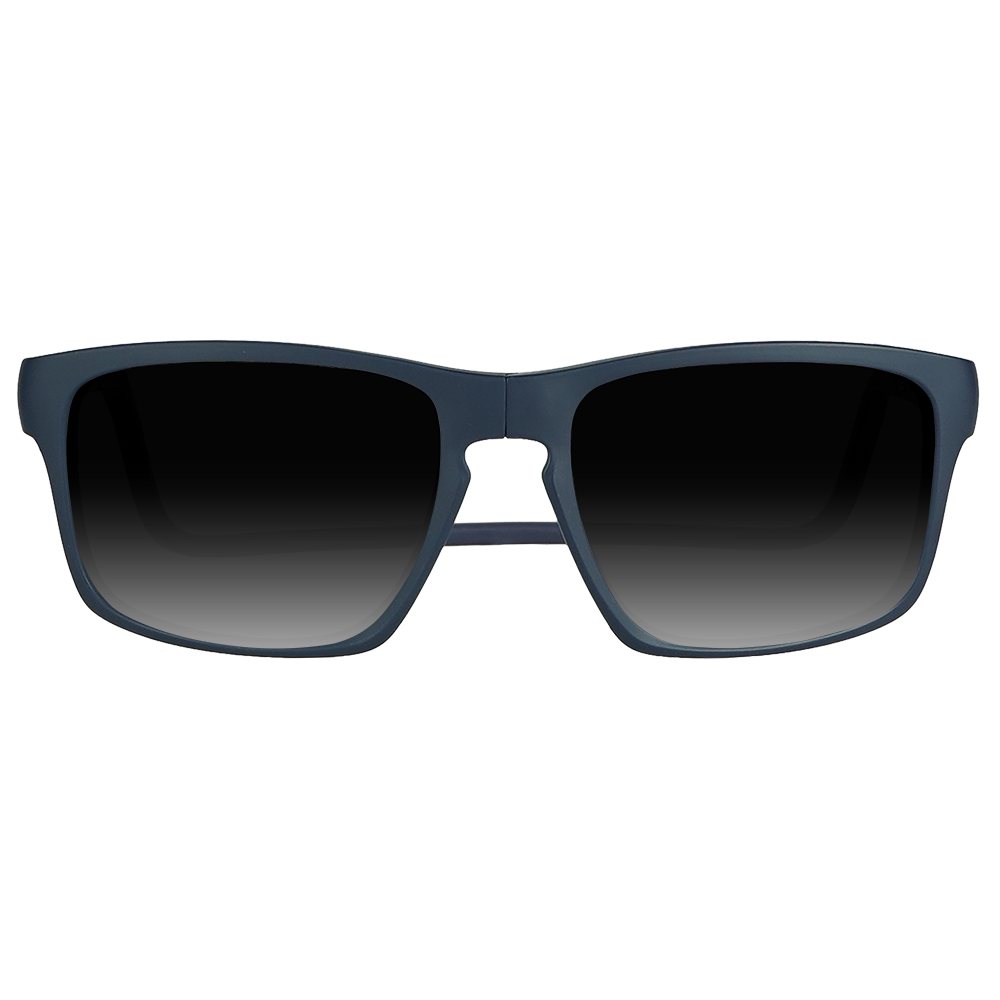 Loft Sunglasses