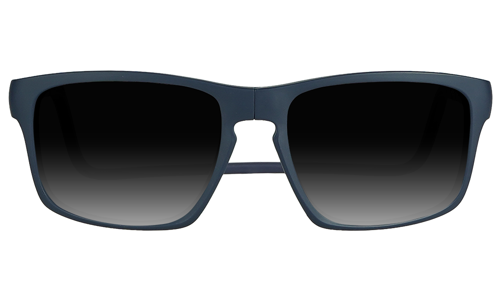 Loft XL Sunglasses