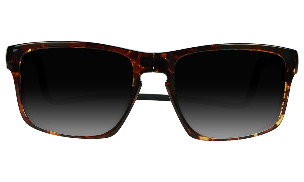 Loft XL Sunglasses