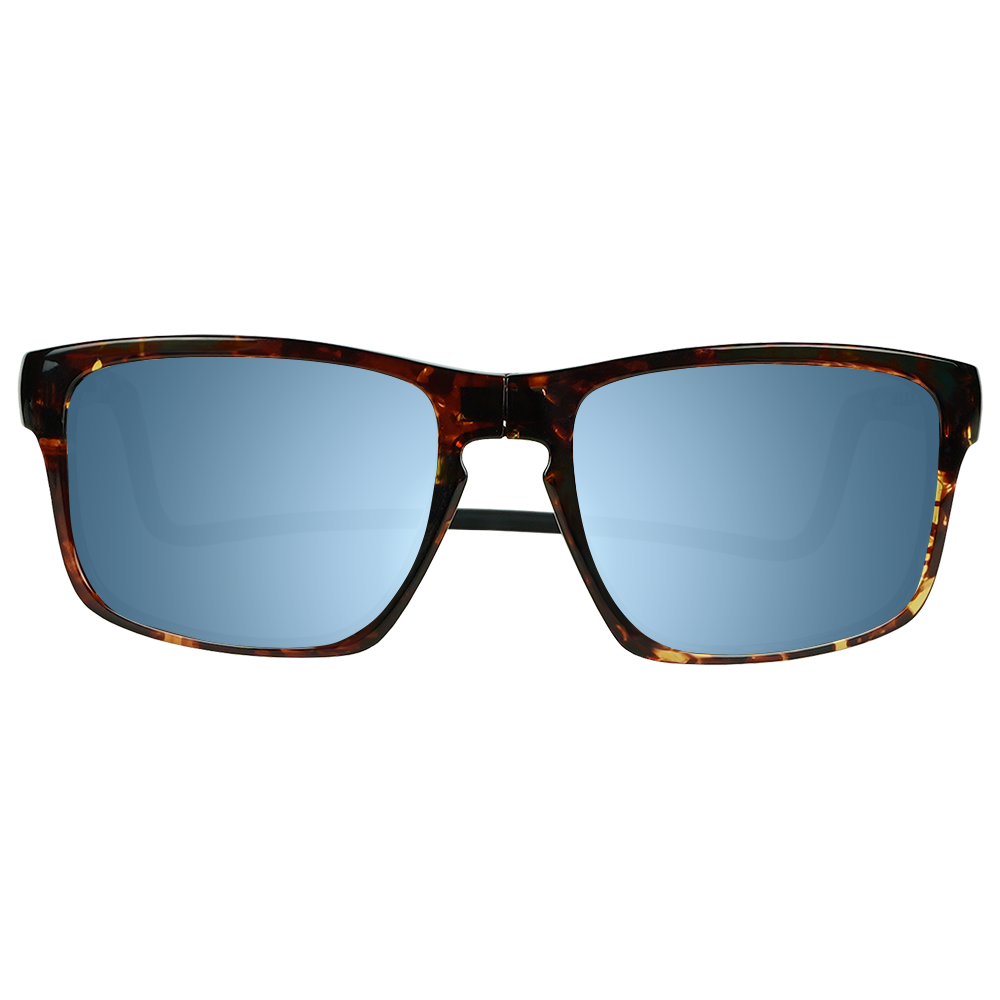 Loft Sunglasses