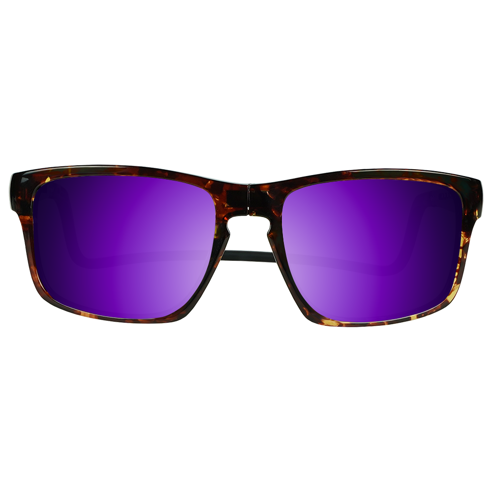 Loft Sunglasses