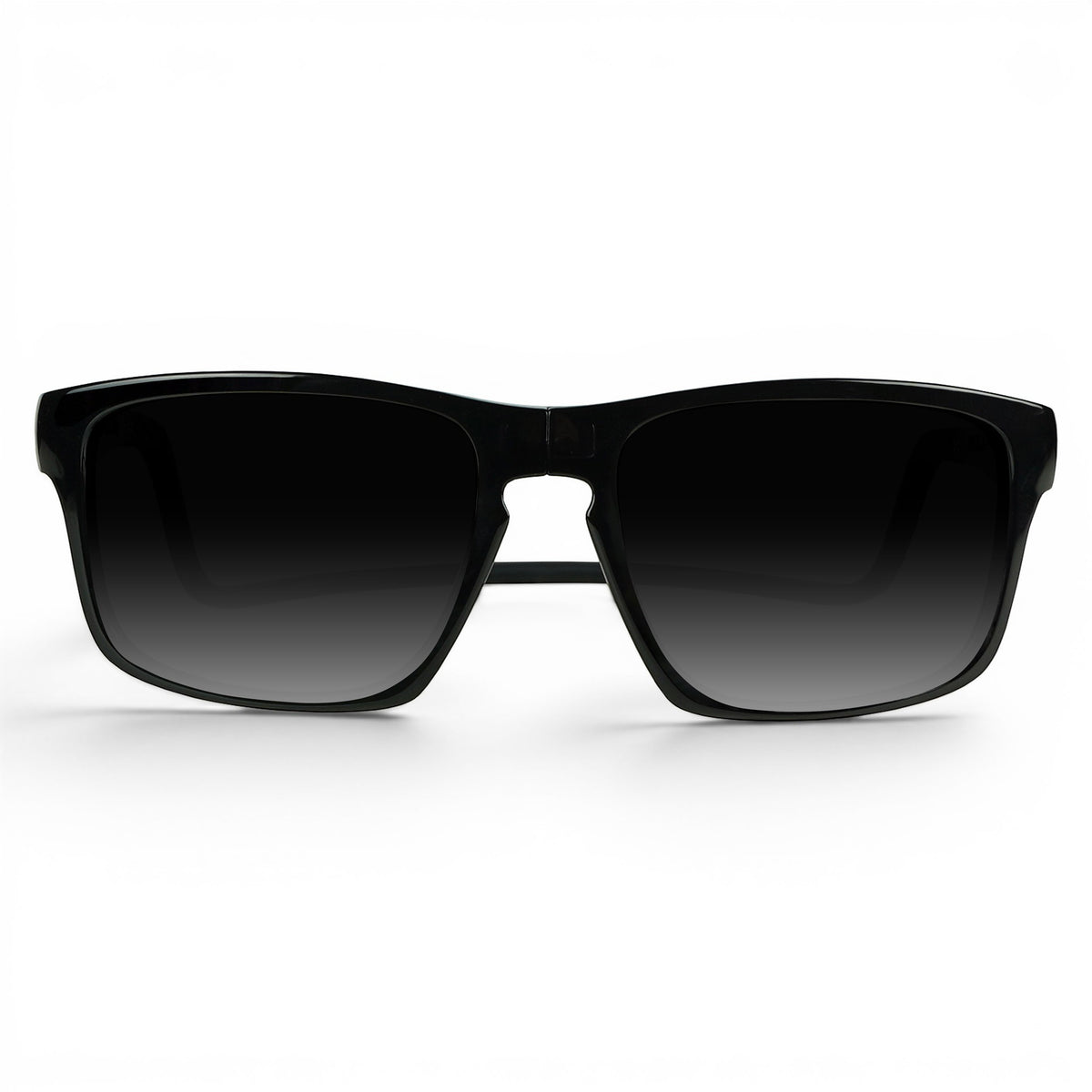 Loft Sunglasses
