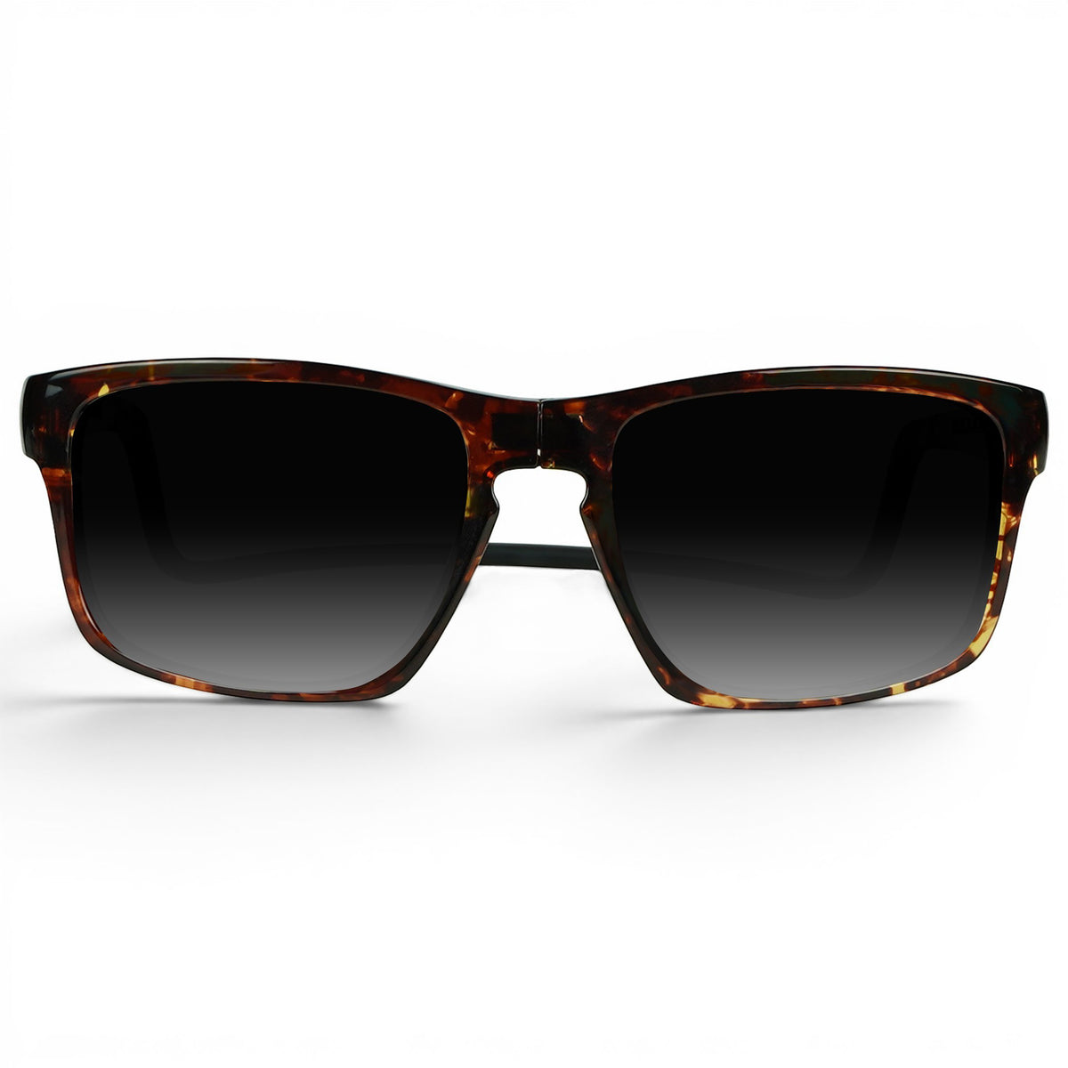 Loft XL Sunglasses