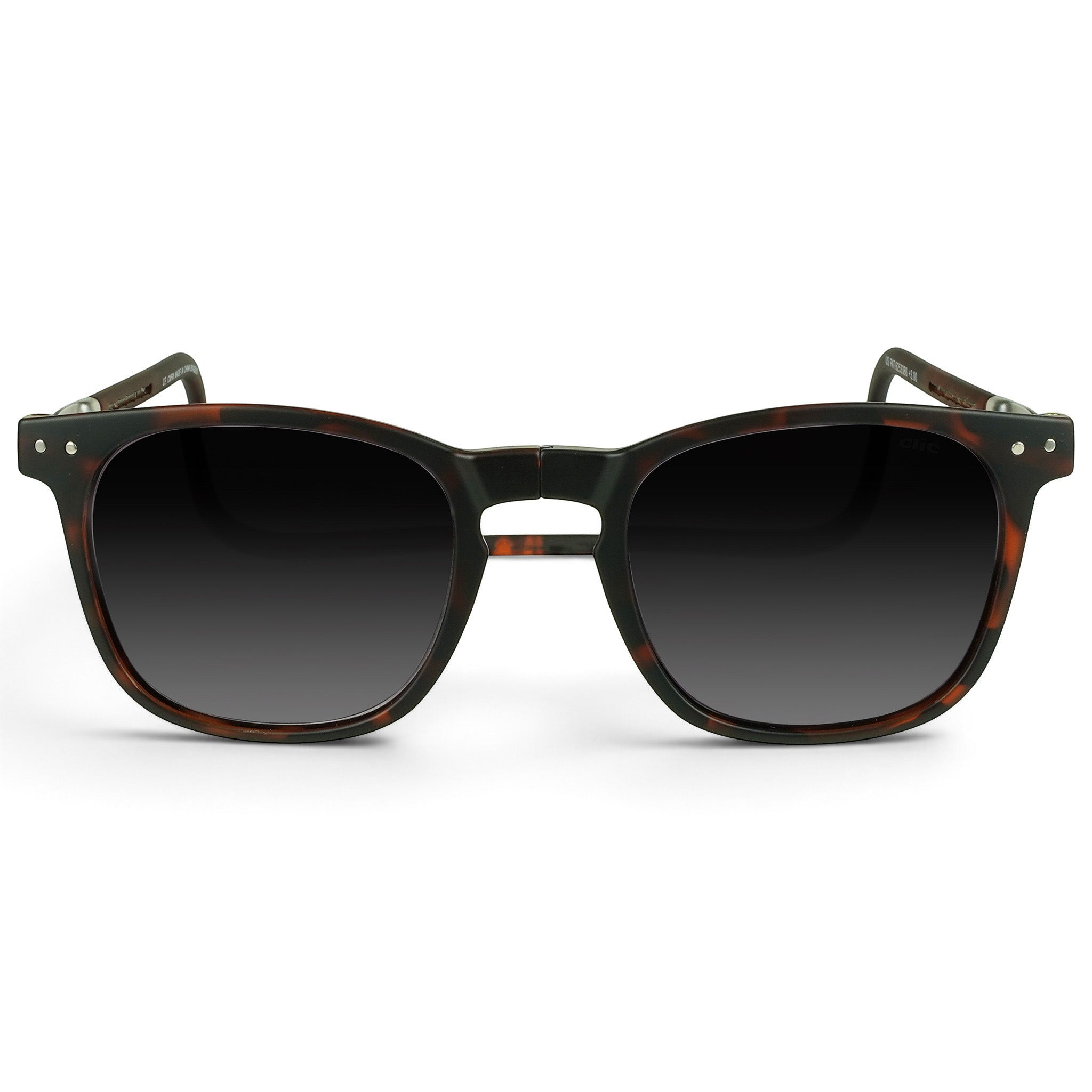 Manhattan Reader Sunglasses