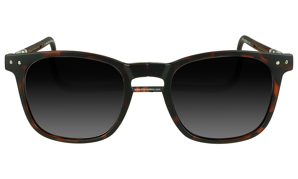 Manhattan_Sun_Reader_Tortoise_Front.png