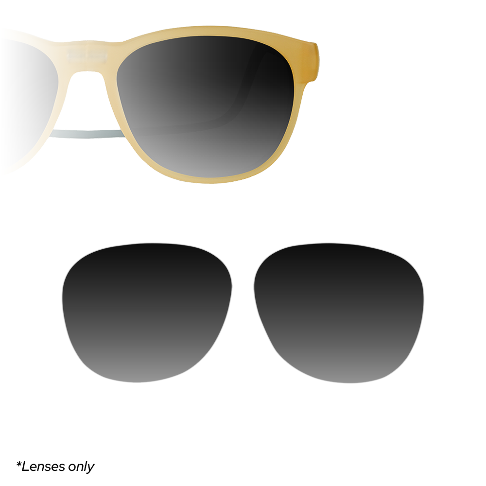 Replacement Lens - Tram Sun Style
