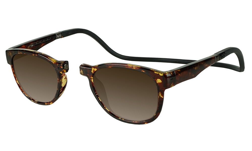 TramTortoise-Brown-Side.png