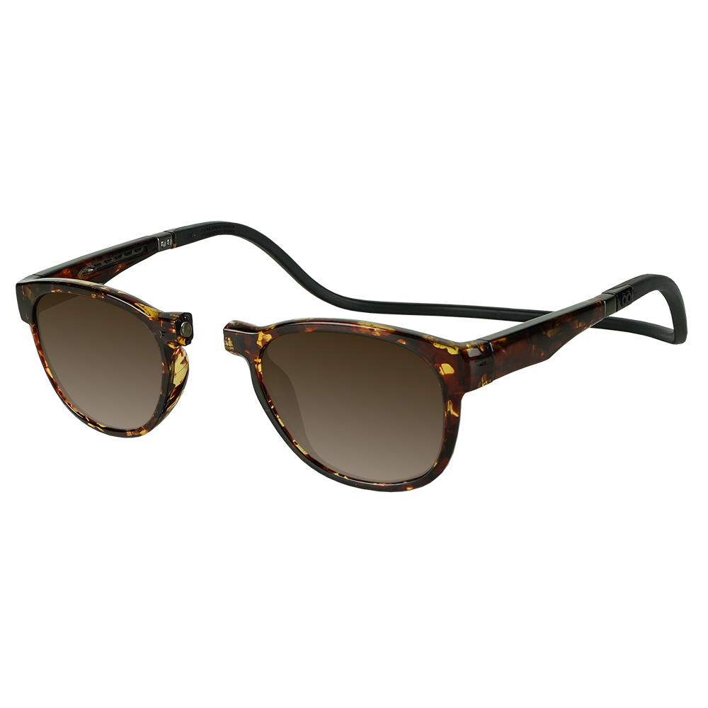 TramTortoise-Brown-Side_46e7ebc3-d3e8-4487-b670-b93507163e09.png
