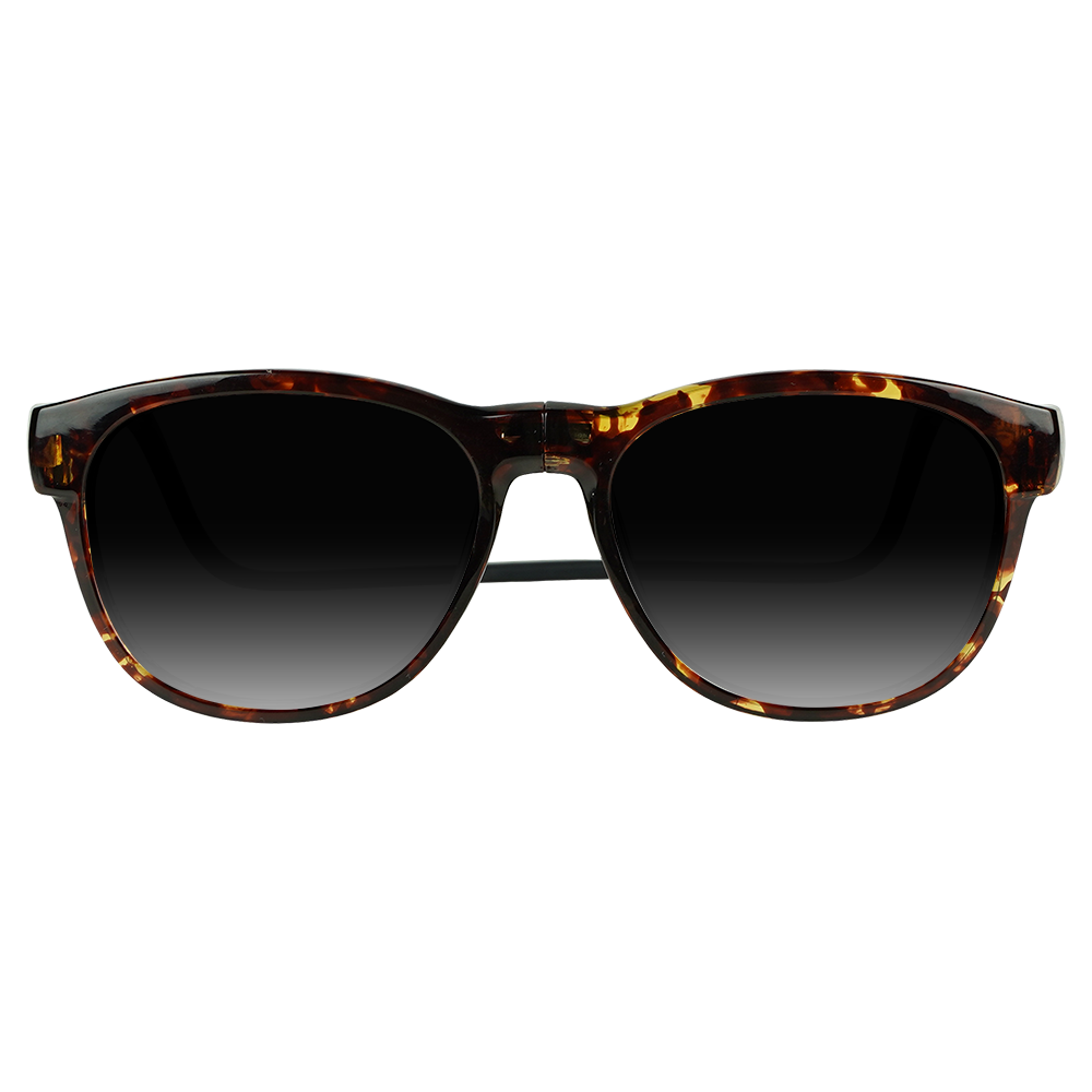 Tram XL Sunglasses