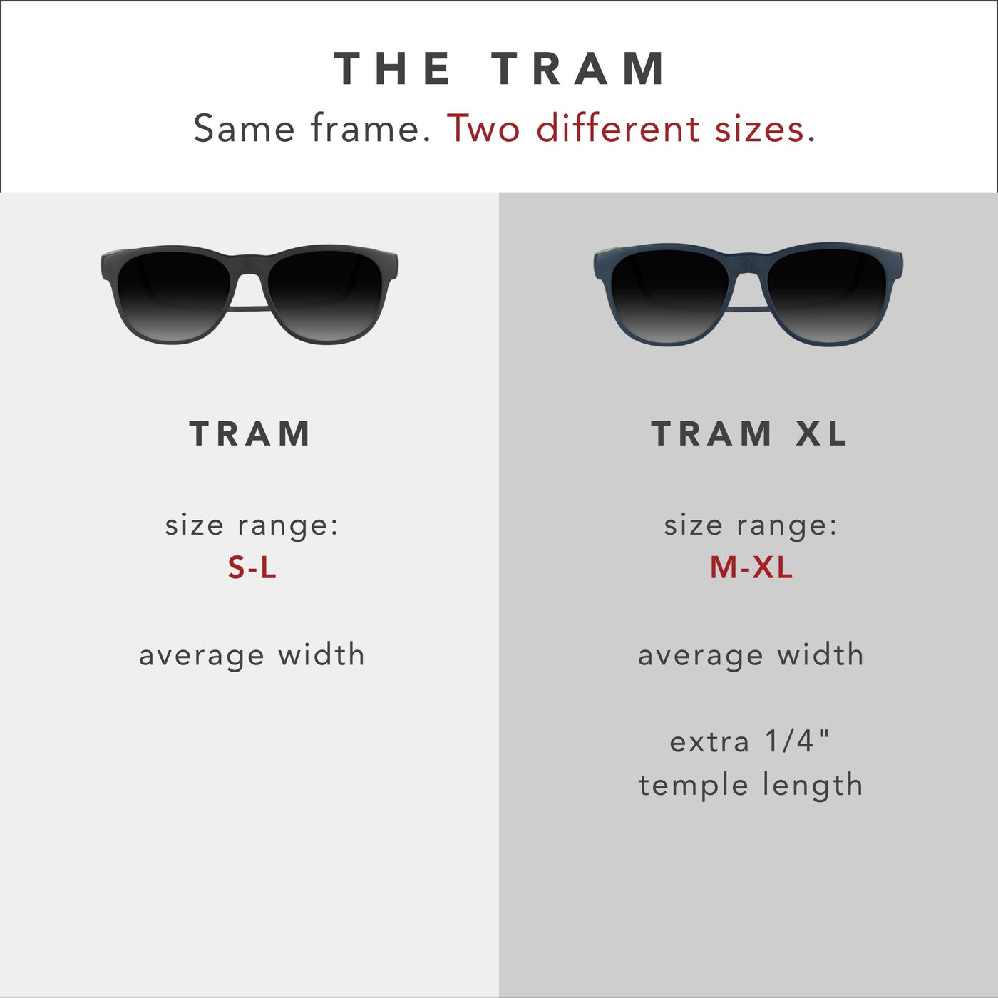 Tram Sunglasses
