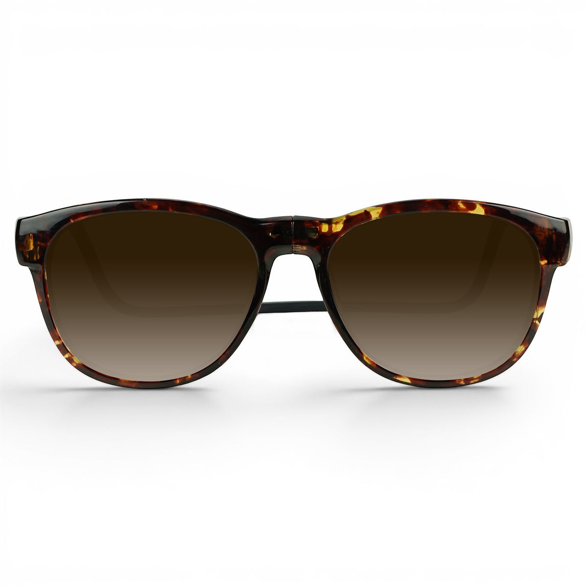 Tram Sunglasses