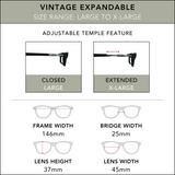 Vintage Expandable Sun Reader