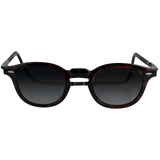 Vintage Expandable Sun Bifocal