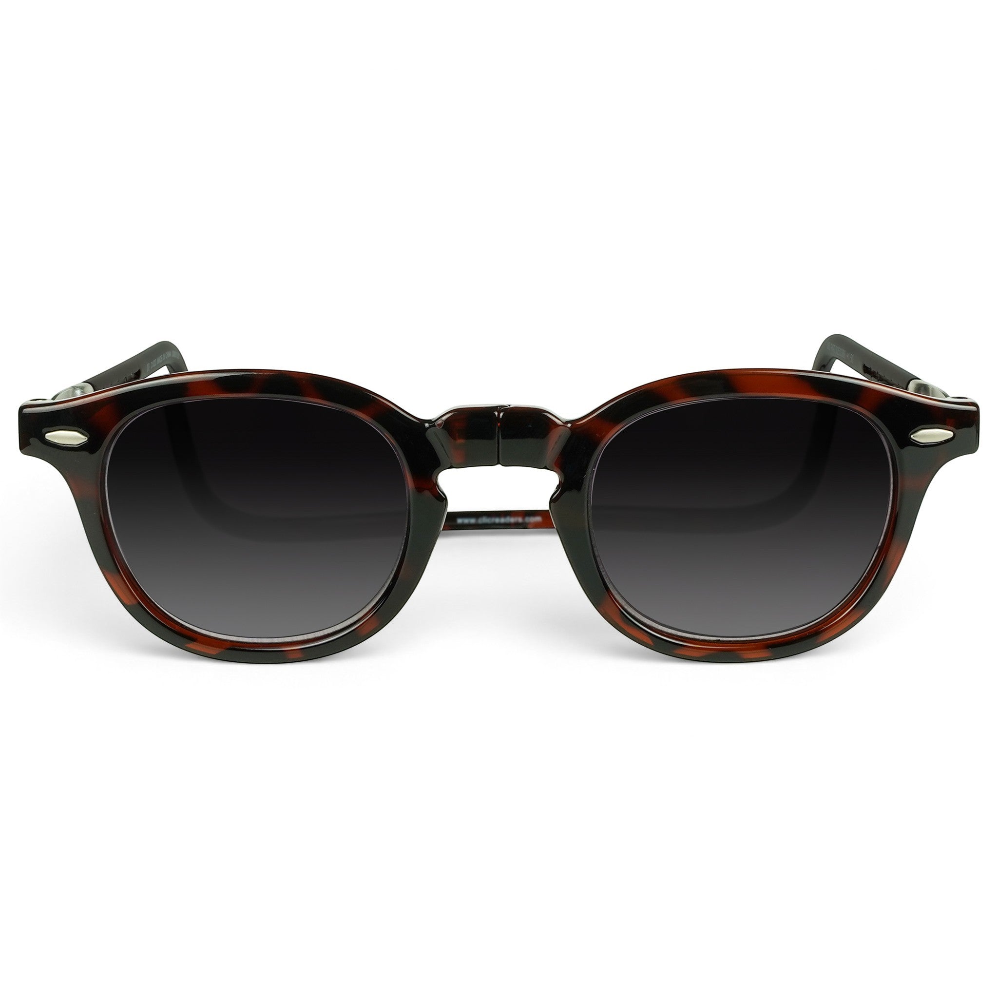 Vintage_Sun_Reader_Tortoise_Front.jpg