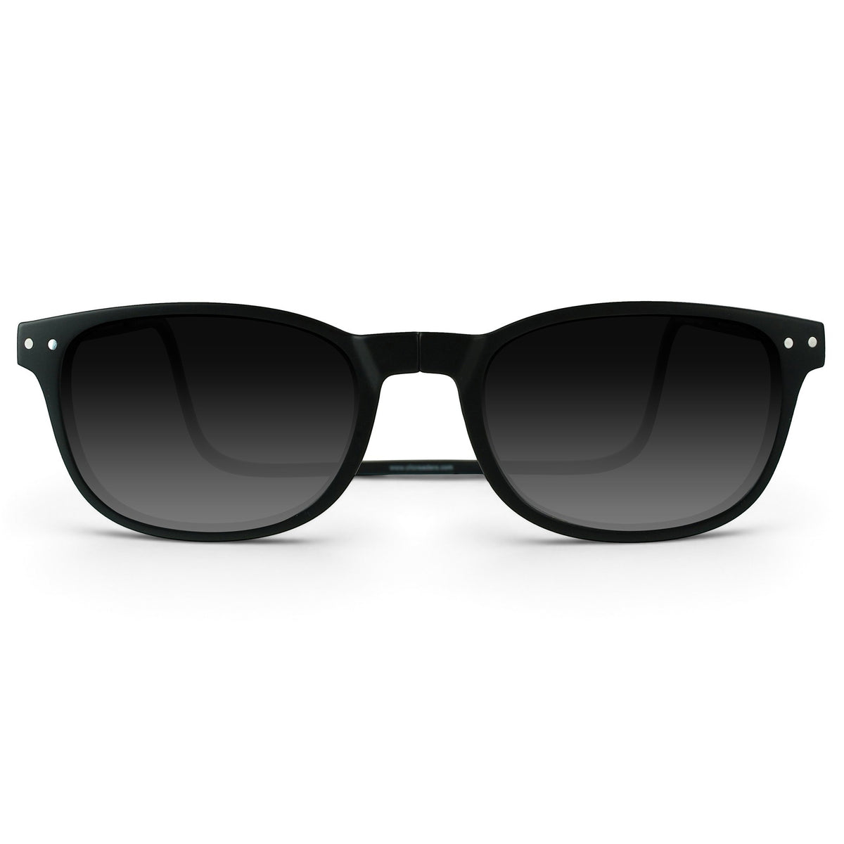 Wallstreet Reader Sunglasses