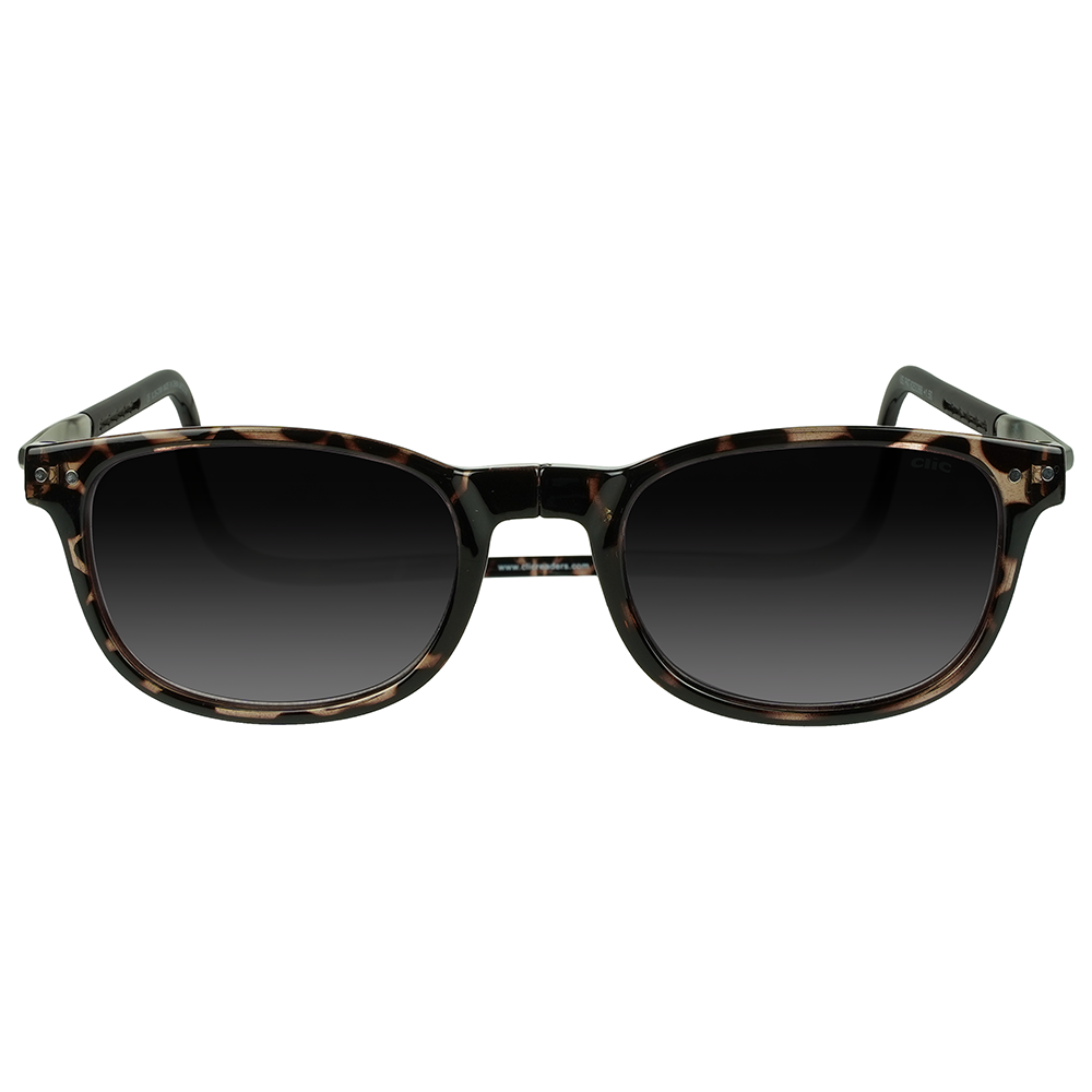 Wallstreet Sun Reader