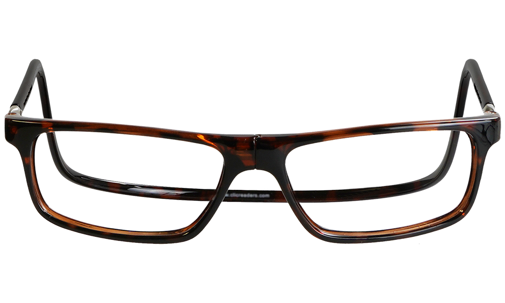 Executive_Tortoise_Front.png